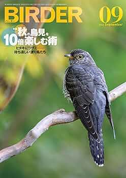 美品【BIRDER 】2023年 81atrOiYnlL._UF350,350_QL50_.jpg