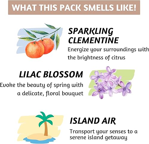 Miniatura 5 de Folkulture Varitas de incienso con soporte, juego de 3 Insenses (60 varillas de insencia) para la calma, Clementina, lila, Island Air Inscents,