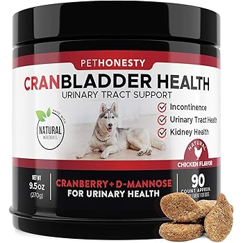 saw palmetto for dogs