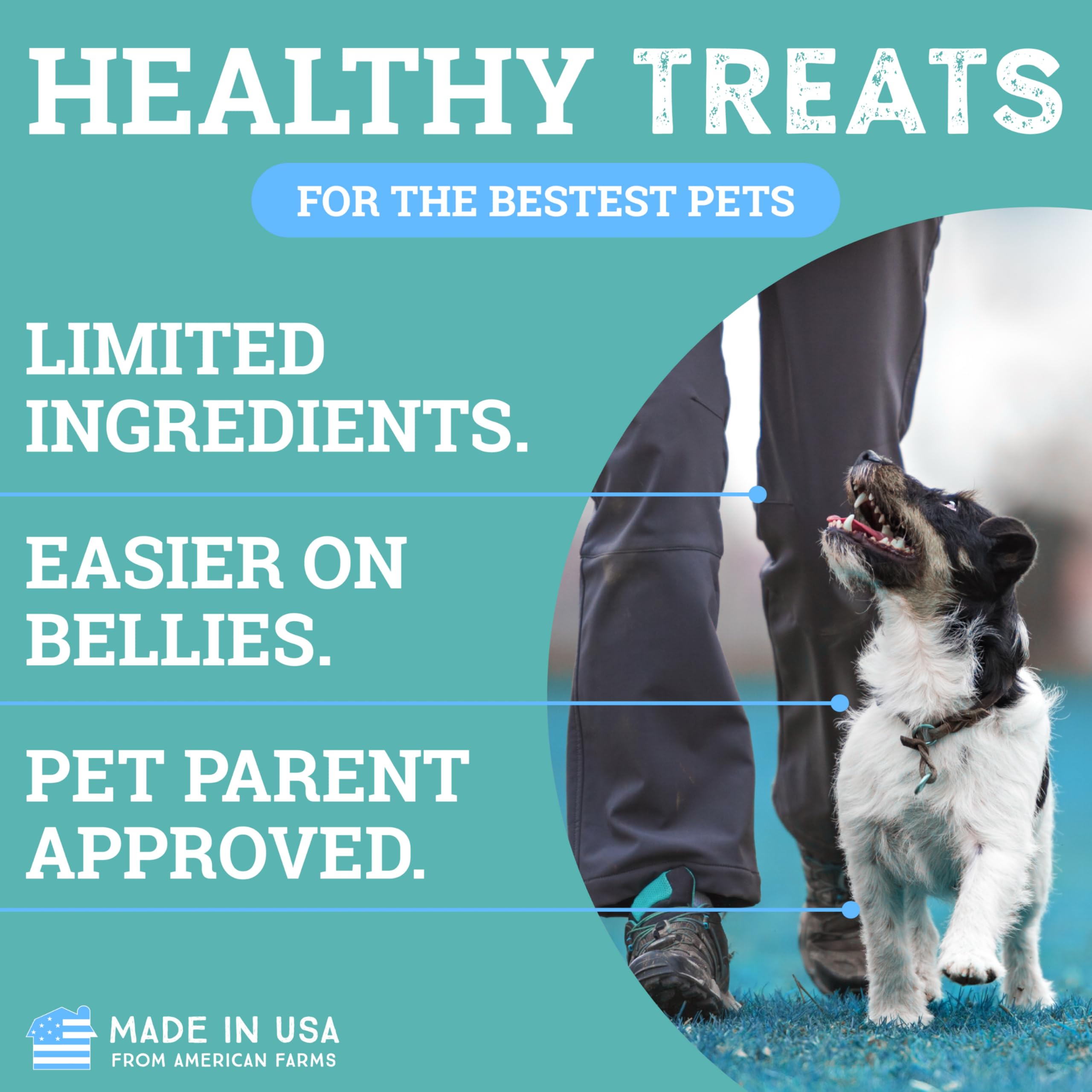 etta says! Sit Training Treats - All Natural Chicken Soft Treats for Dogs - Made in The USA - Soft & Chewy for Small, Medium & Large Dogs or Puppies - image 6