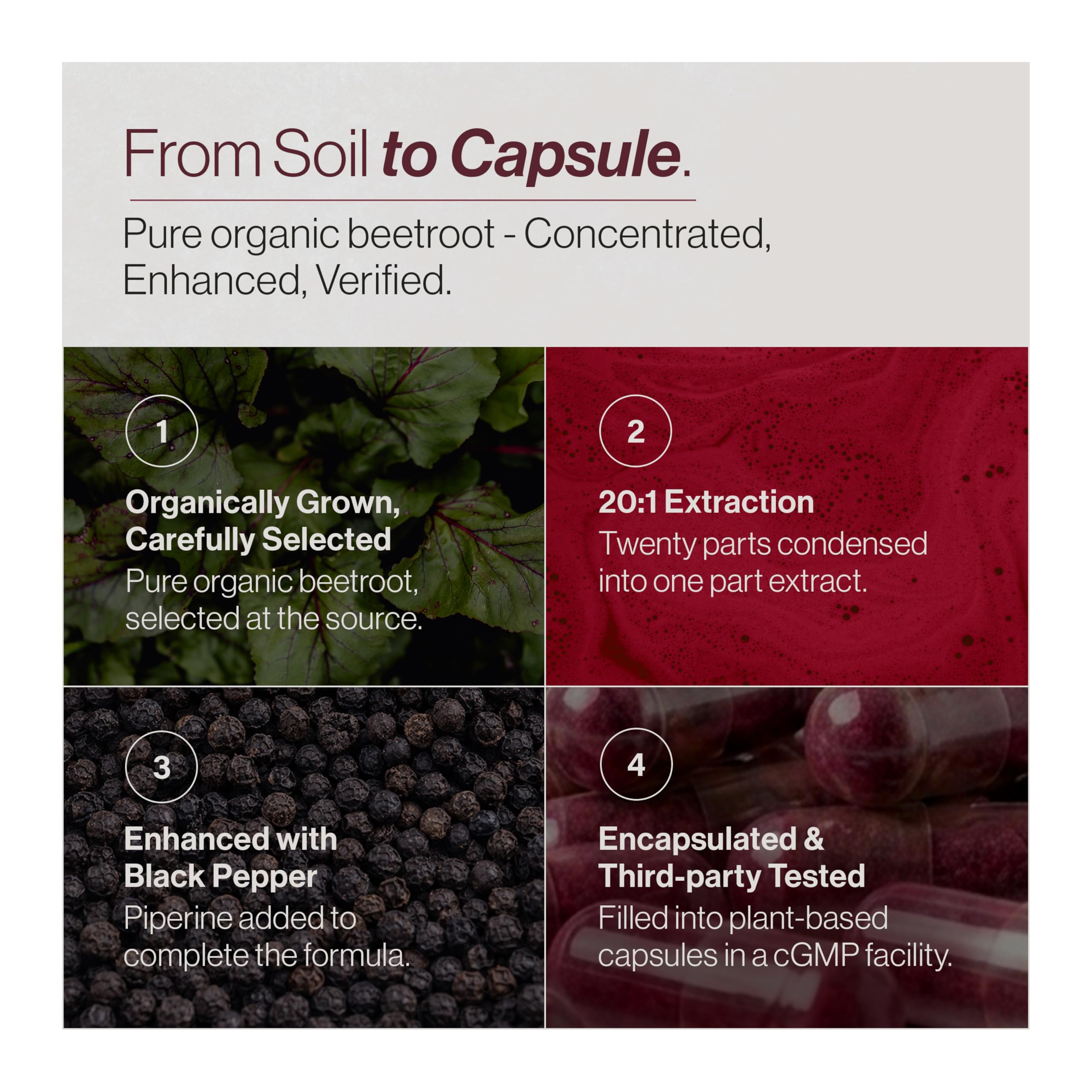 TRUE BEETS Organic Beet Root Capsules - 20:1 Extract Beetroot Supplement, 120 Vegan Capsules, 4 Month Supply - Nitric Oxide & Blood Pressure Support, Non-GMO, Made in the USA — Amazon image 3