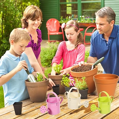 Miniatura 2 de Regadera pequeña de 5 piezas, regadera de metal para plantas al aire libre, mini regadera de hierro para jardín Yarde para plantas caseras macetas