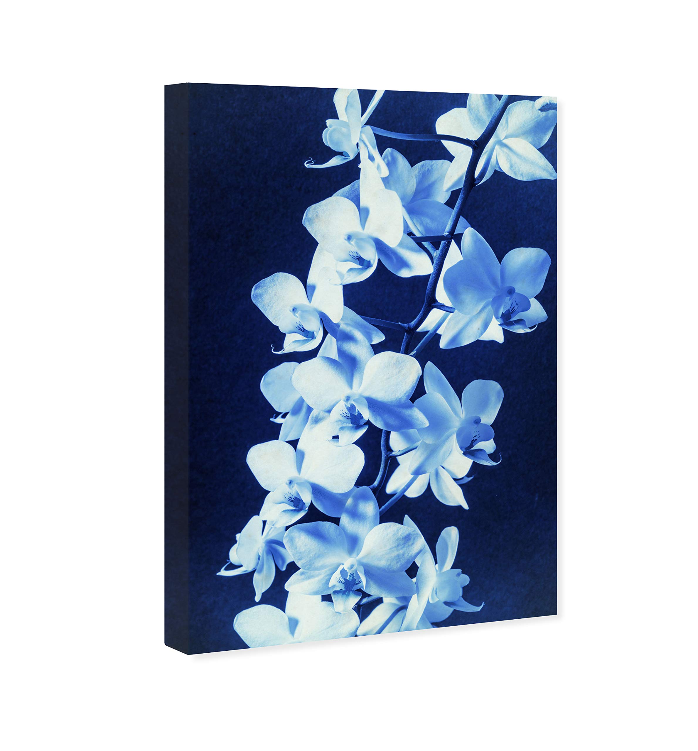 レア品♡Oliver Gal Florale V2キャンバスアート Amazon.com: The Oliver Gal Artist Co. Floral Wall Art Canvas