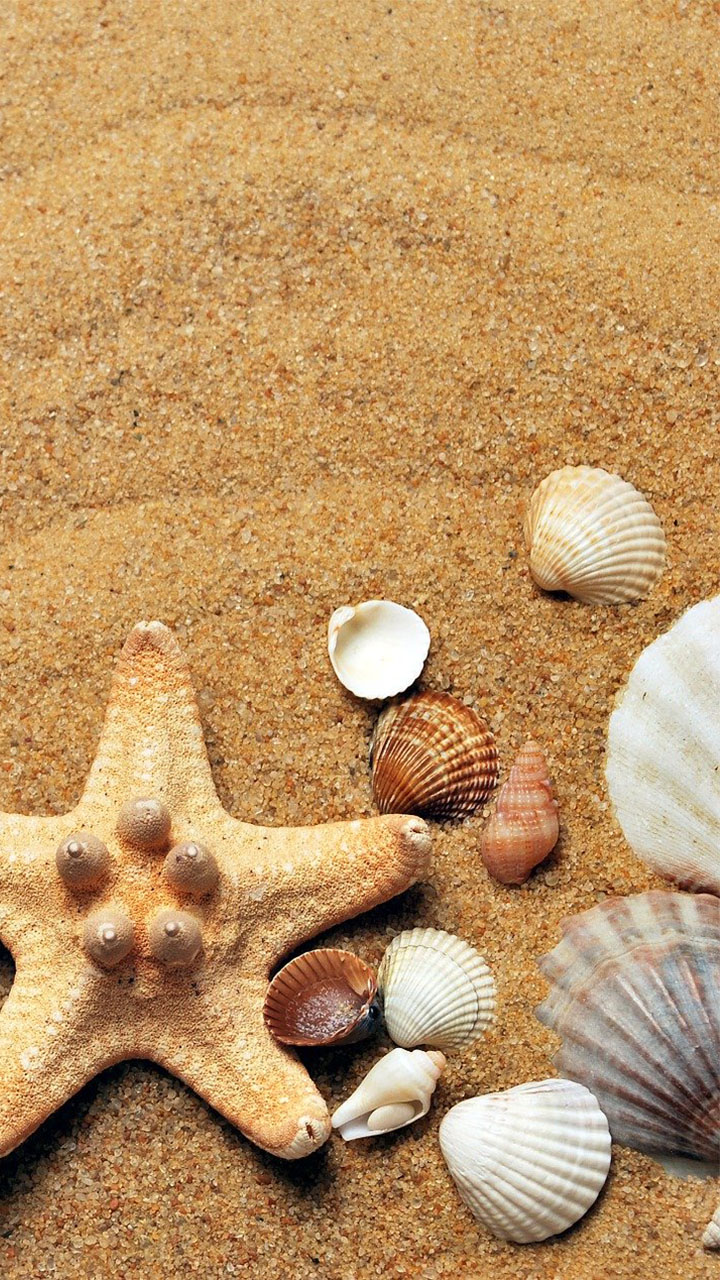 beautiful Ocean Wallpaper App on Amazon Appstore