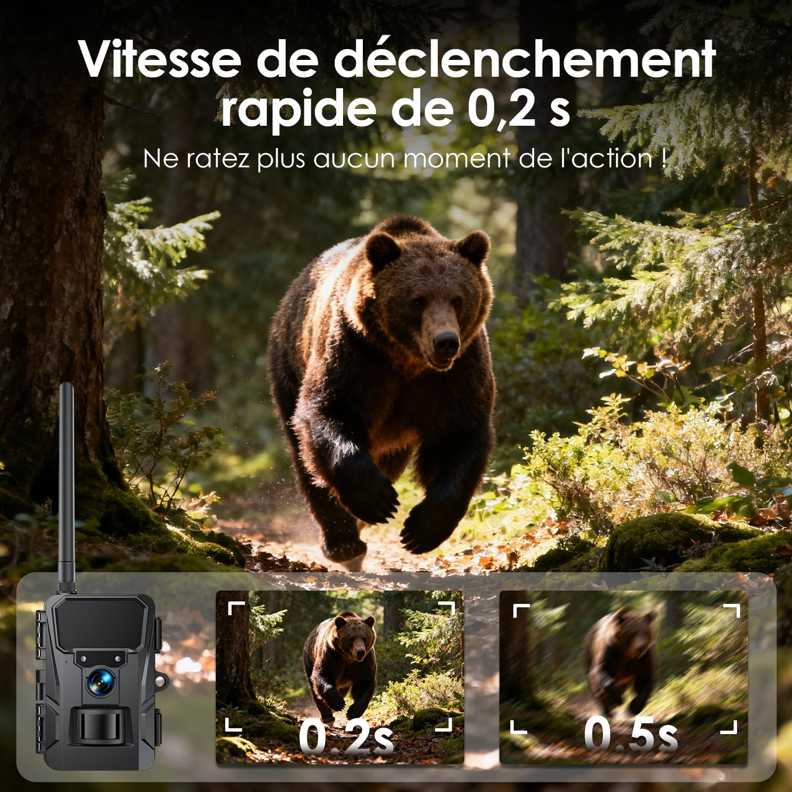 WOLFANG Caméra de Chasse 4G, 48 MP 2K HD Caméra Chasse avec Détection de Mouvement, Vision Nocturne, Déclenchement 0,2 s, IP66 Étanche pour l'observation des Animaux Noir