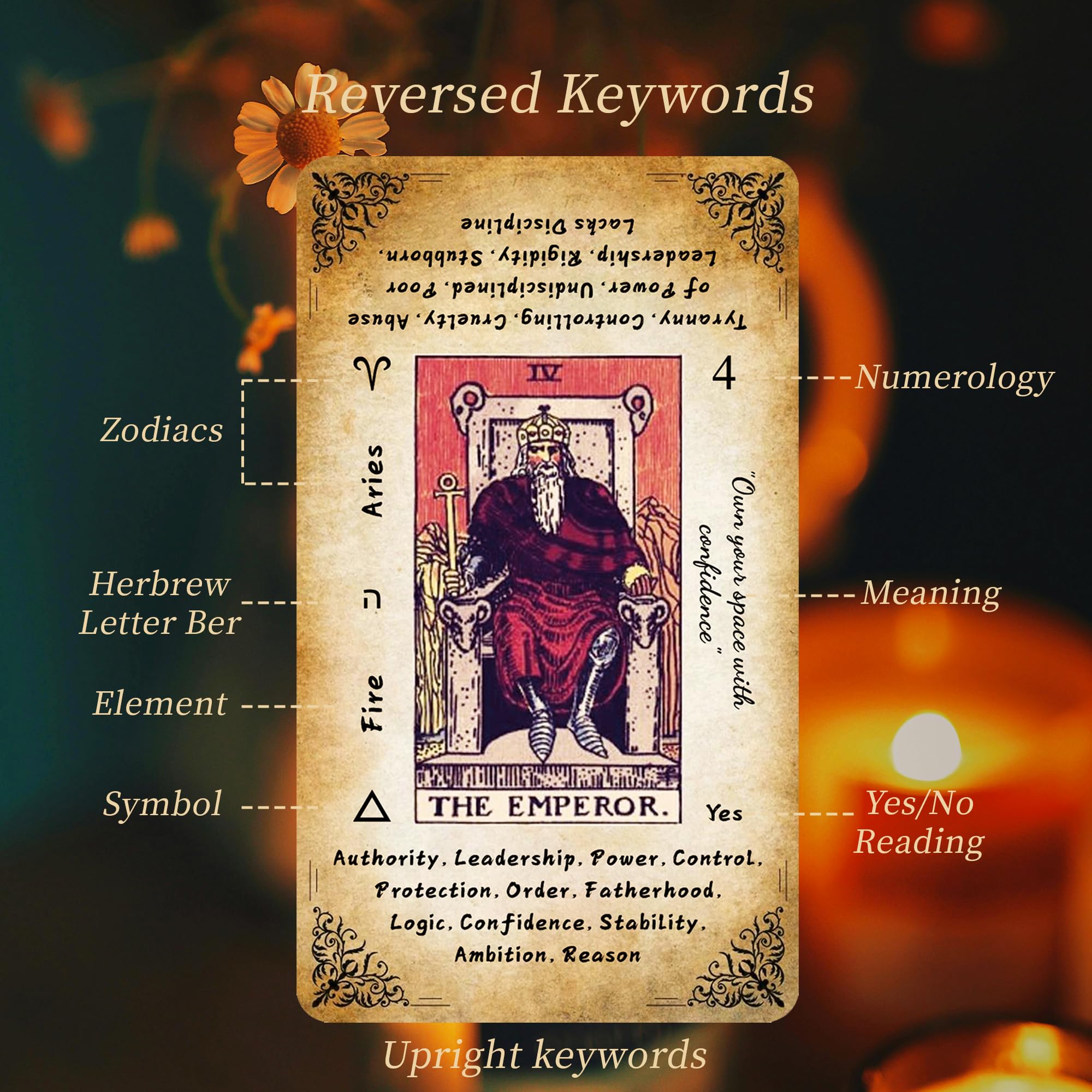 Tarot Cards for Beginners Vintage Classic Tarot Cards with Guide Book, Gold Gilded Edges, 13 cm x 8 cm - Image 3