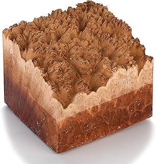 Woodcraft Australian Red Mallee Burl Turning Blank 2Kg-4Kg 1-Piece