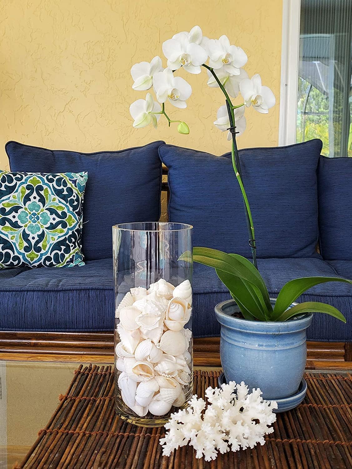 Tumbler Home Seashells Mix of Whites & Shells in Whites, Tans & Pinks, Perfect for Crafts, Decor, Weddings & Vase Filler - Image 3