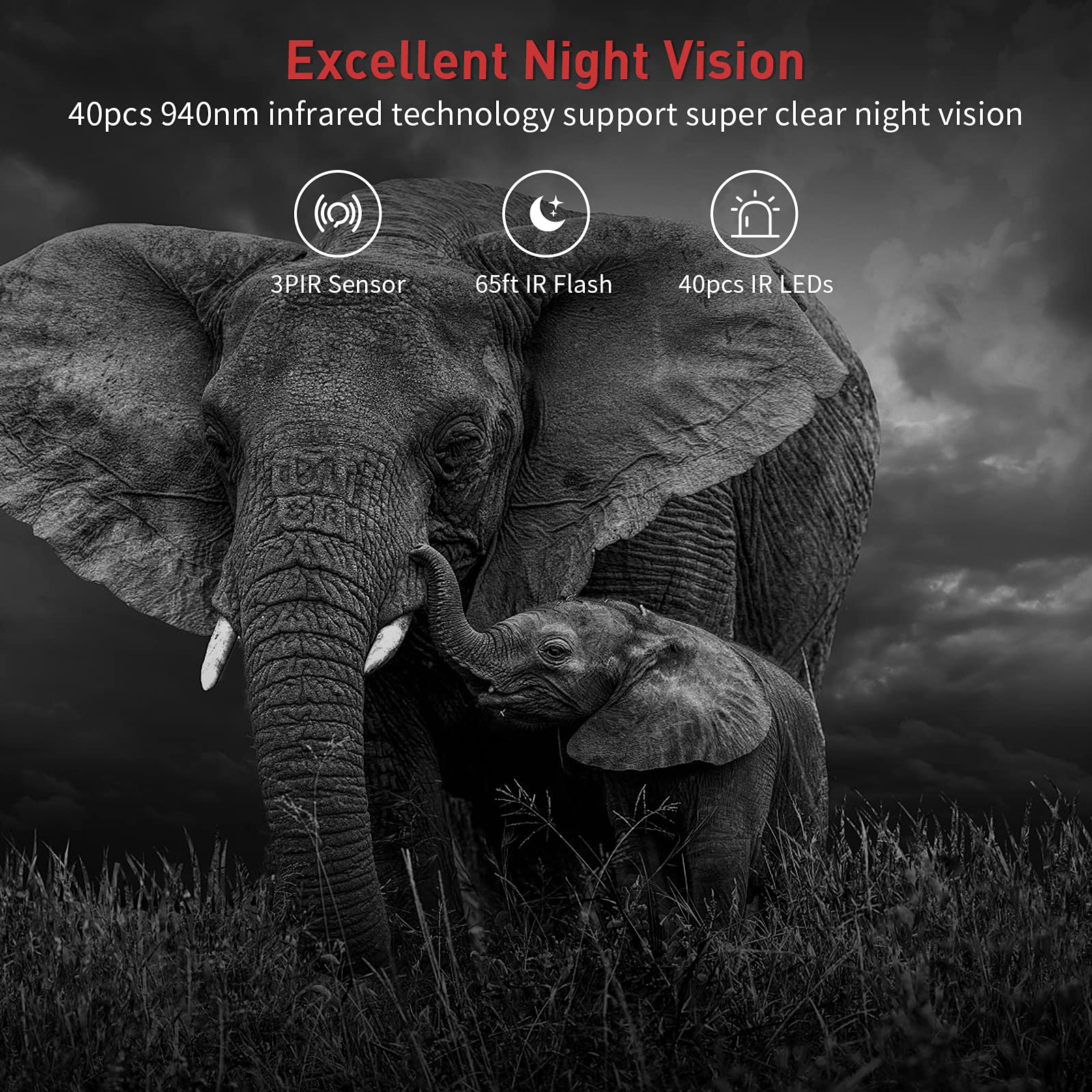 VANBAR Trail Camera with elephants in the background, illustrating night vision