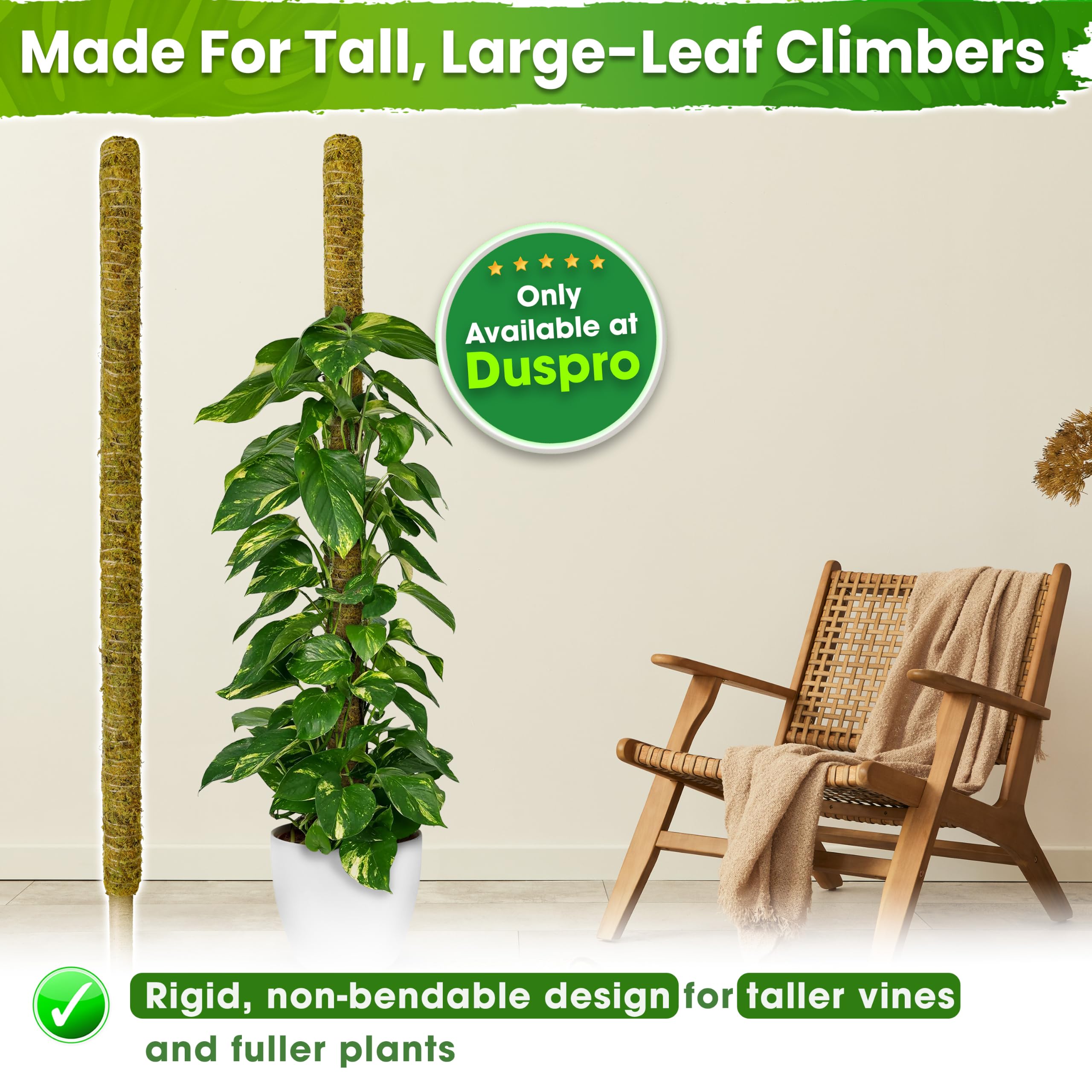 DUSPRO Große Moosstange für Pflanzen, Monstera, Pflanzstäbe für Zimmerpflanzen, Monstera-Pflanzenstütze, Pflanzenstütze/Pflanzenstange für große Kletterpflanzen im Innenbereich (1 Stück, 203 cm)