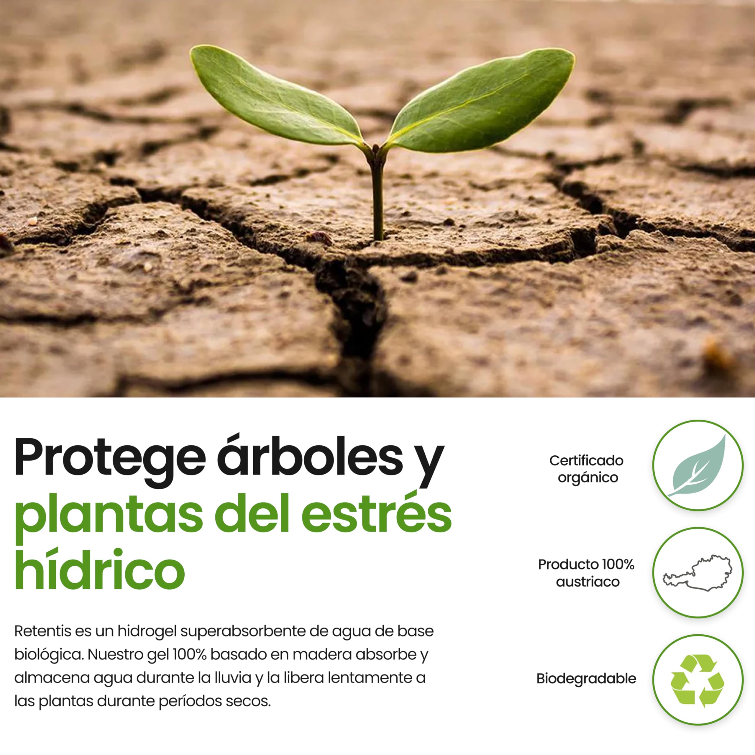 Almacenamiento de agua a largo plazo y gránulos para plantas I reduce el estrés de la sequía y 750 gramos por 40 litros de tierra e hidrogel de madera ecológico