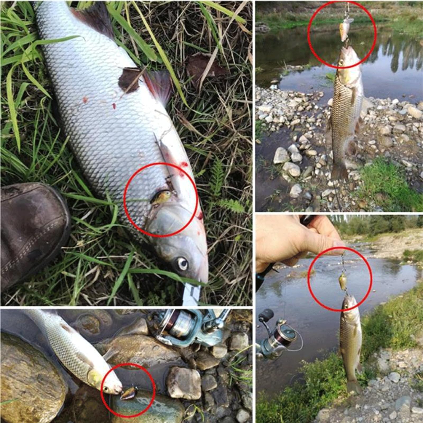 Coffret d'appâts de pêche : leurres flottants de type crankbait, leurres de type minnow, leurres wobbler, appâts pour la pêche à la truite, à la perche, au bar et au sandre. Matériel de pêche.