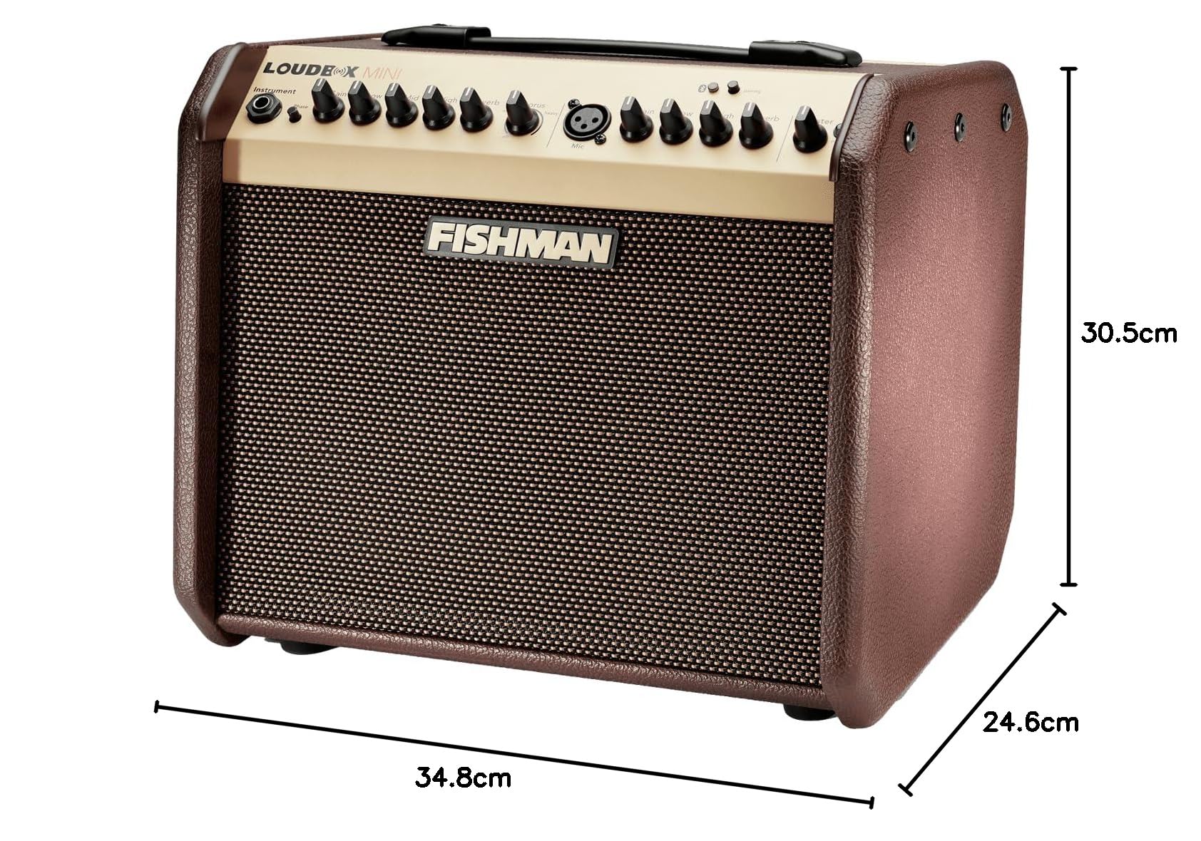 FISHMAN Mini-Bluetooth, PRO-LBT-EU5, Braun & Gold