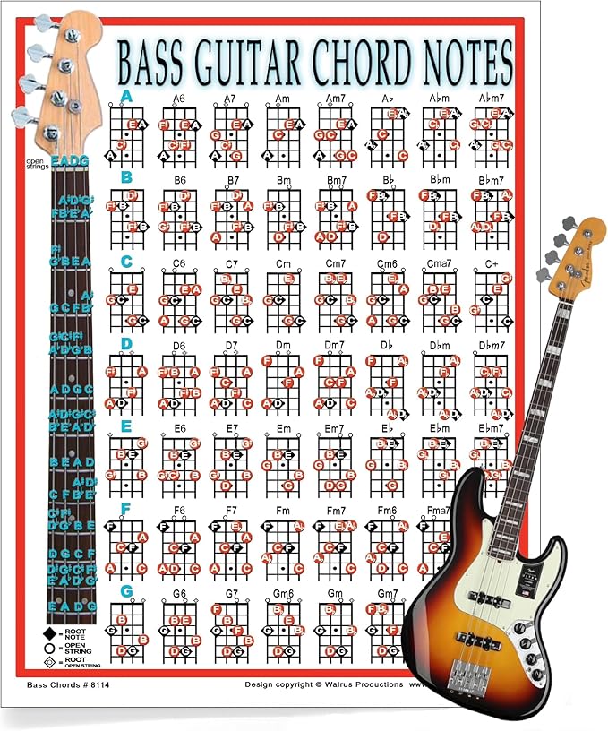 Mini Bass Guitar Chord Chart with 56 Chords - Laminated Bass Guitar Chord Poster for Beginners and Musicians - Music Theory Poster - Bass Guitar Accessories - 8.5" x 11" - Walrus Productions