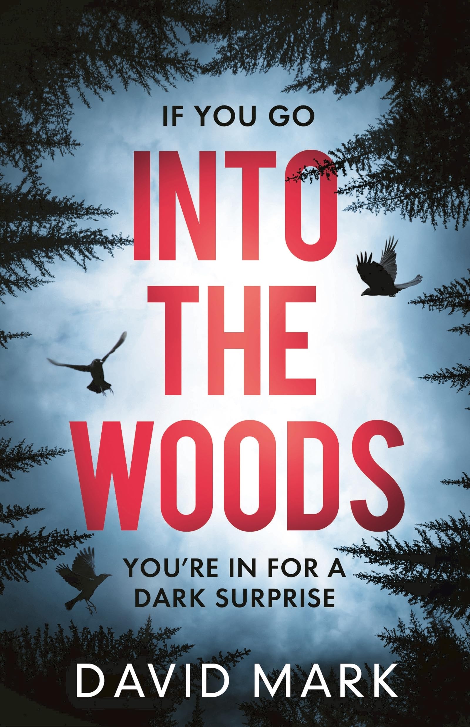 Into the Woods-D. L. Mark