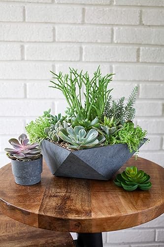 Miniatura 5 de The HC Companies Cuenco decorativo de plástico facetado para suculentas de 6 pulgadas, maceta decorativa de interior con agujero de drenaje,