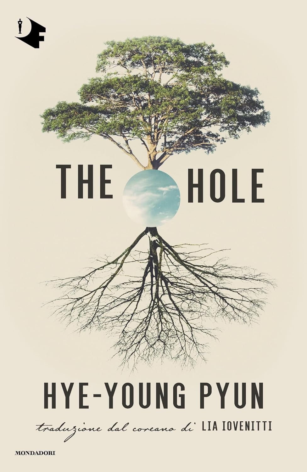 The hole eBook Hyeyoung, Pyun, Iovenitti,