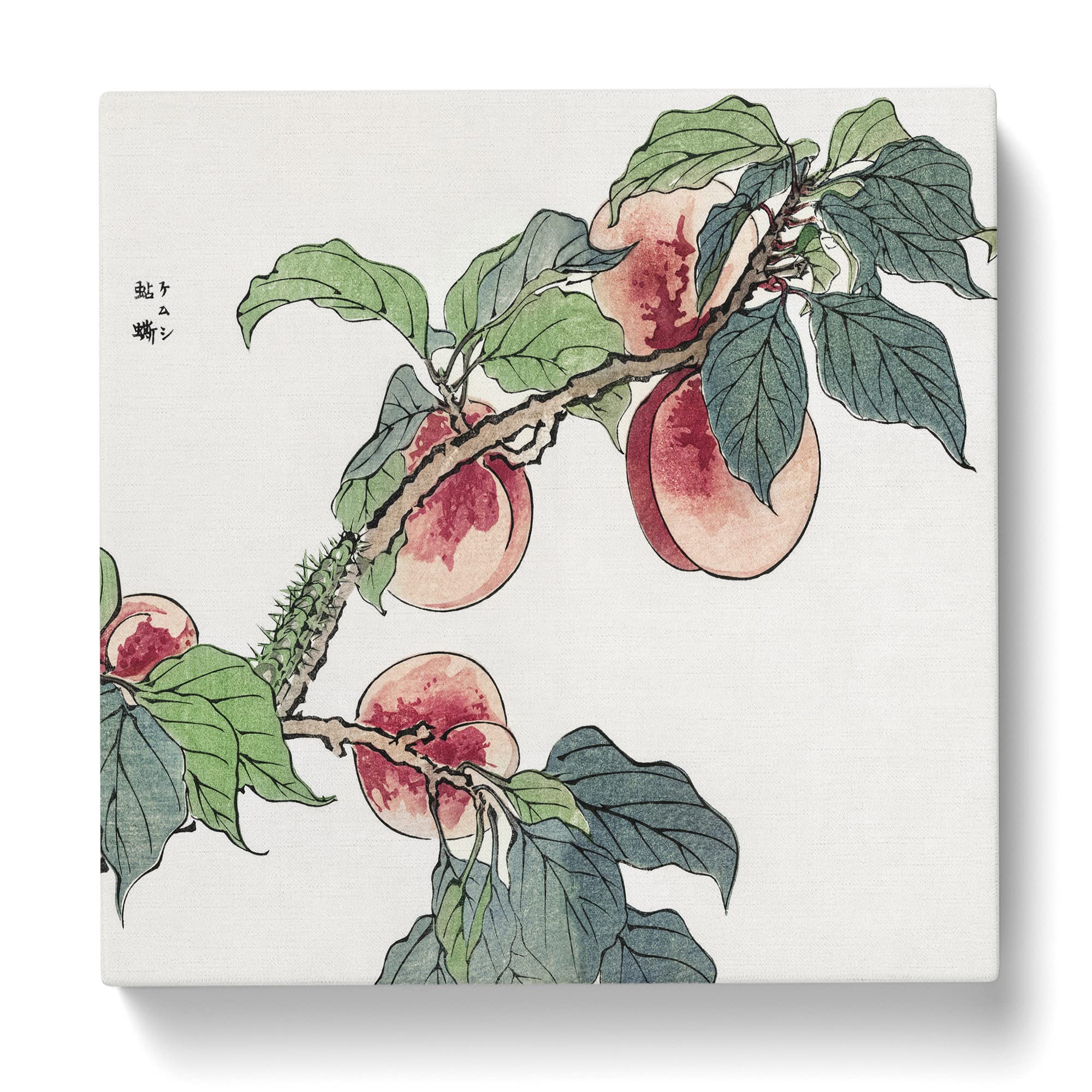 Caterpillar on a peach Tree by Morimoto Toko Canvas Print, Mixed, 35L x 35W cm - Image 3