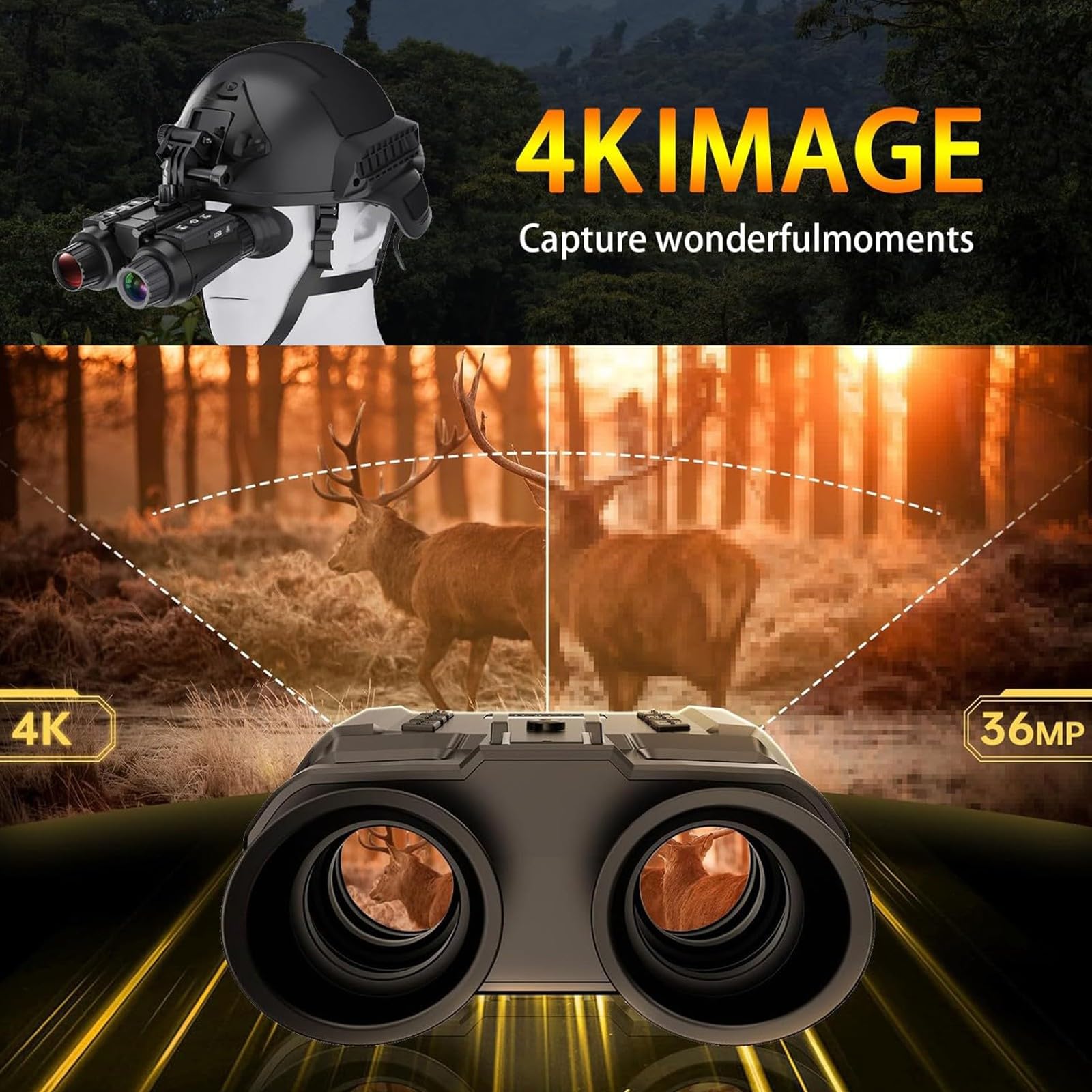 530349_3 530349_3