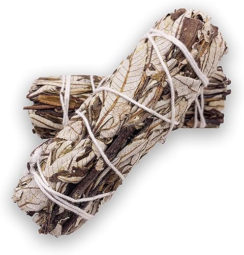 Miniatura 2 de Varillas de incienso de yerba real Santa – Varillas de mancha natural para limpieza espiritual – Paquete de 3 paquetes