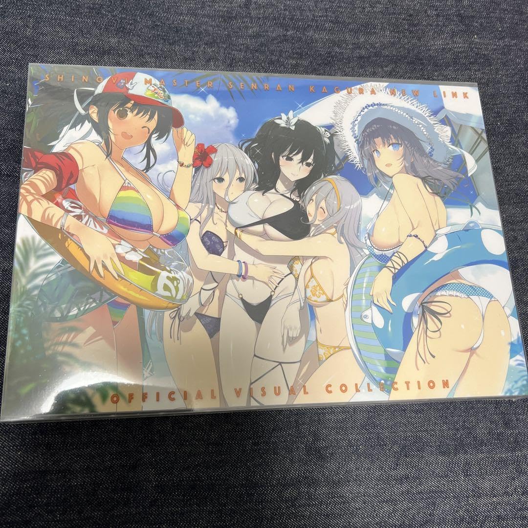 Amazon.co.jp: 閃乱カグラ 閃乱カグラTEN シノビマスター 公式画集