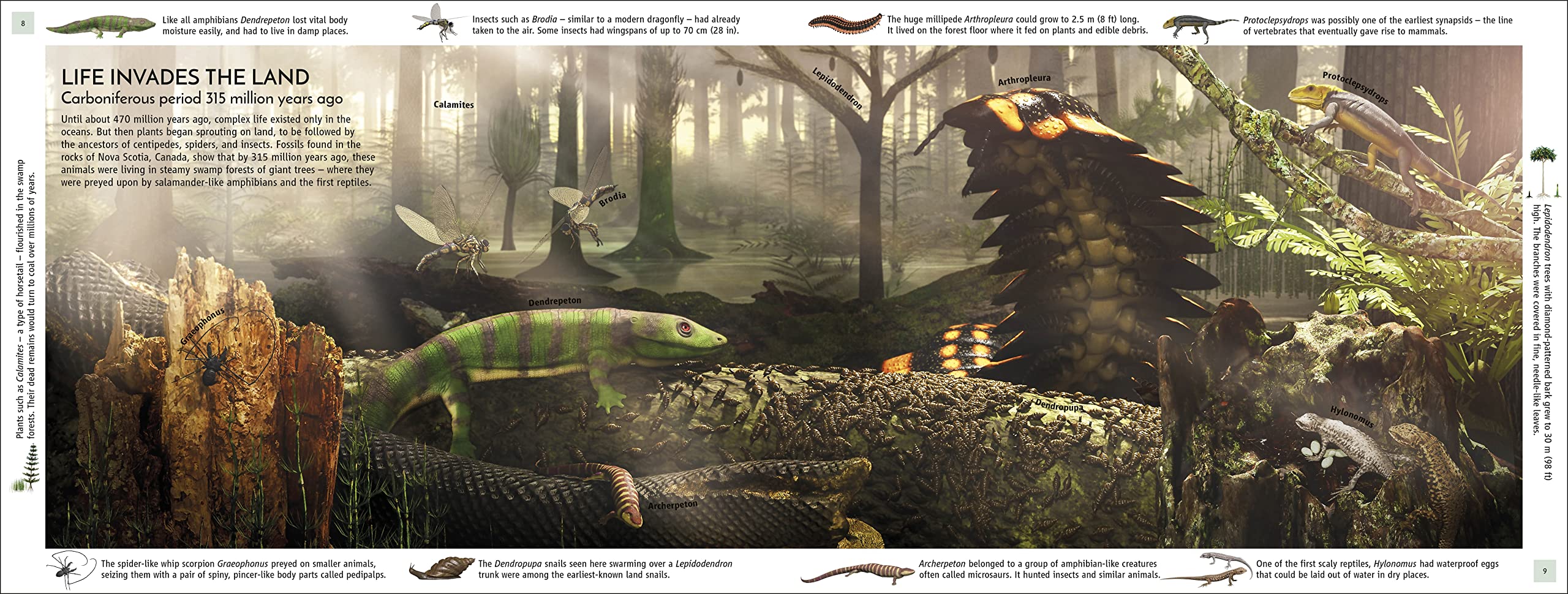 Life Through Time: The 700-Million-Year Story of Life on Earth