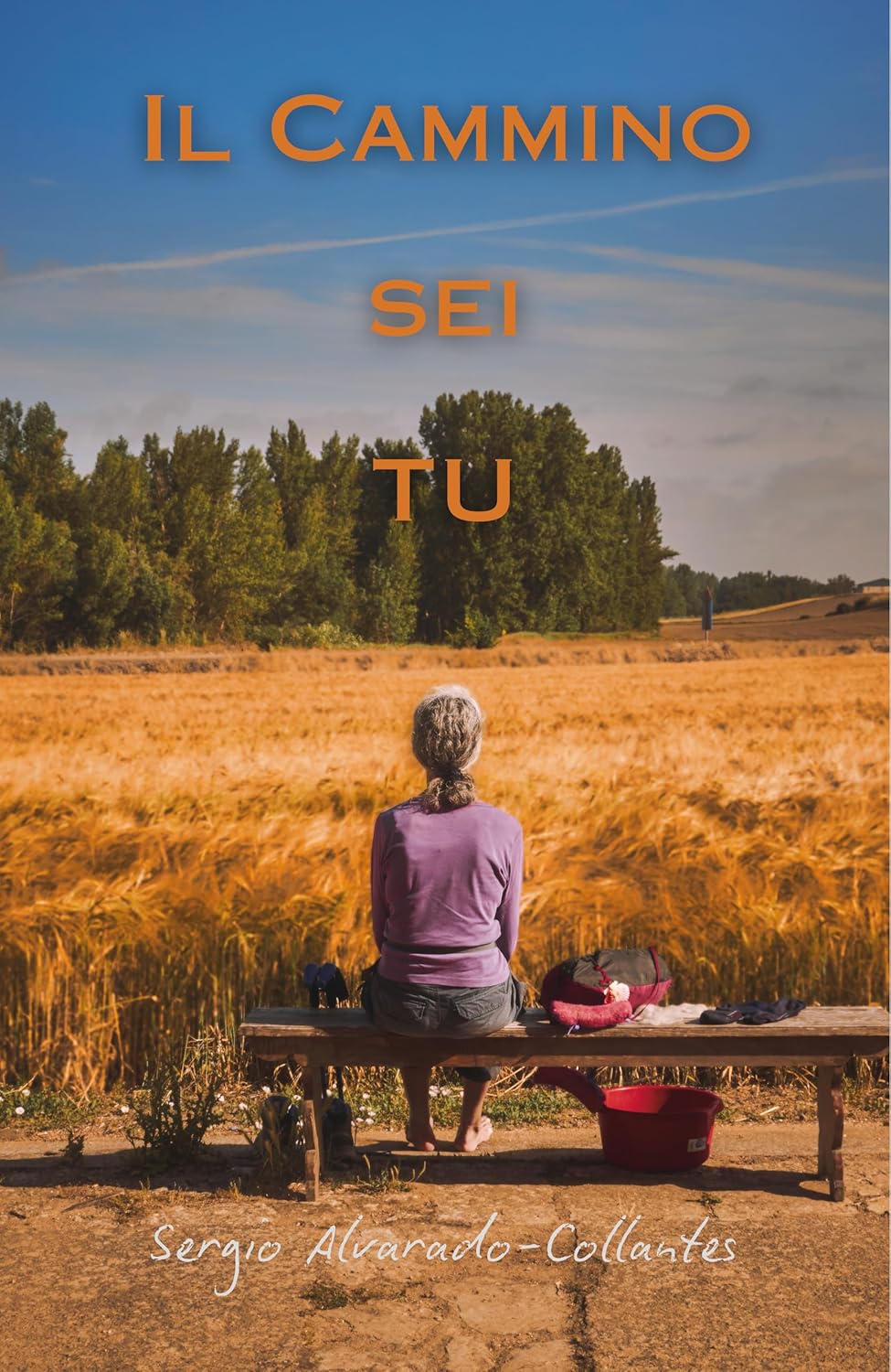 Il Cammino sei tu: Un libro sulla vita, la spiritualità e legami con le persone (Italian Edition)      Kindle Edition