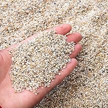 bhomescent Natural Colour Silica Sand - COARSE Grain 1mm-2mm | Ideal for Aquariums, Arts and Crafts, and Gardening Soil (2KG)