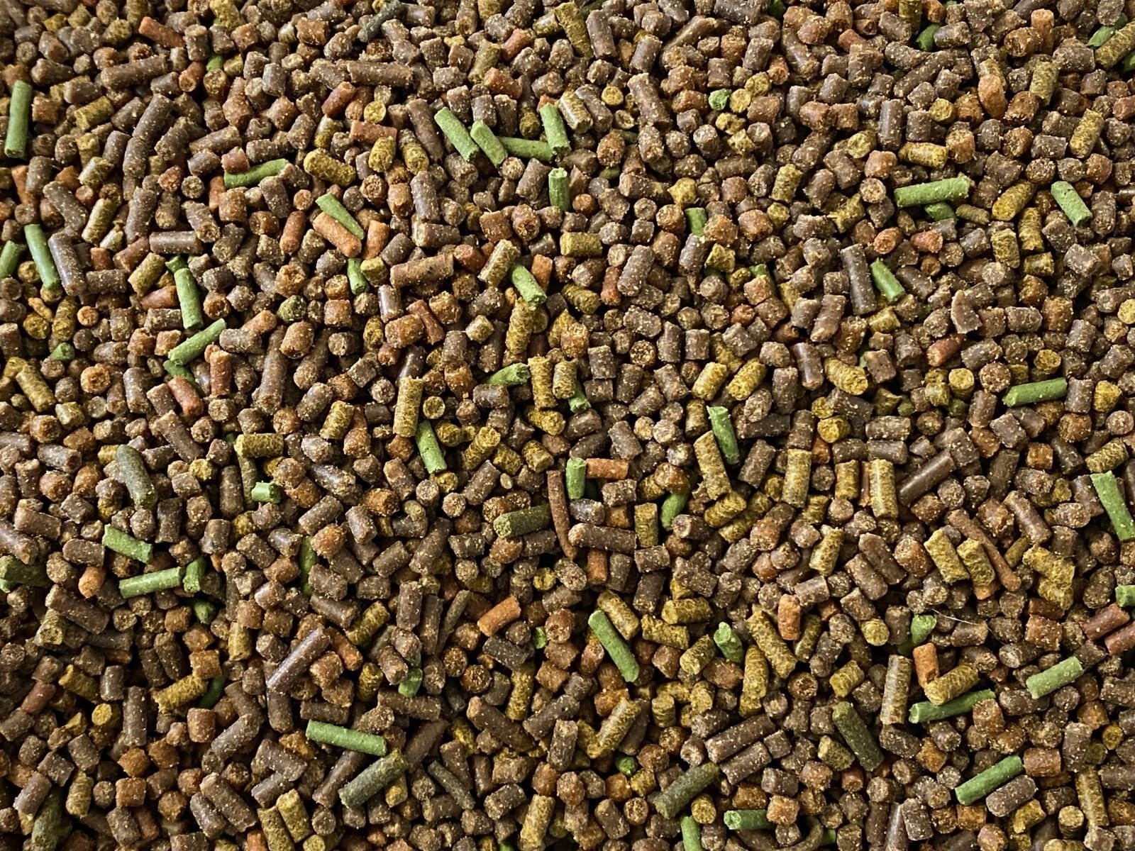 AQUATICBLENDEDFOODS Aquatic Freshwater Snail Food Mix #2 with Calcium Snail,Shrimp & Crayfish Food - A2 (1oz Sample)