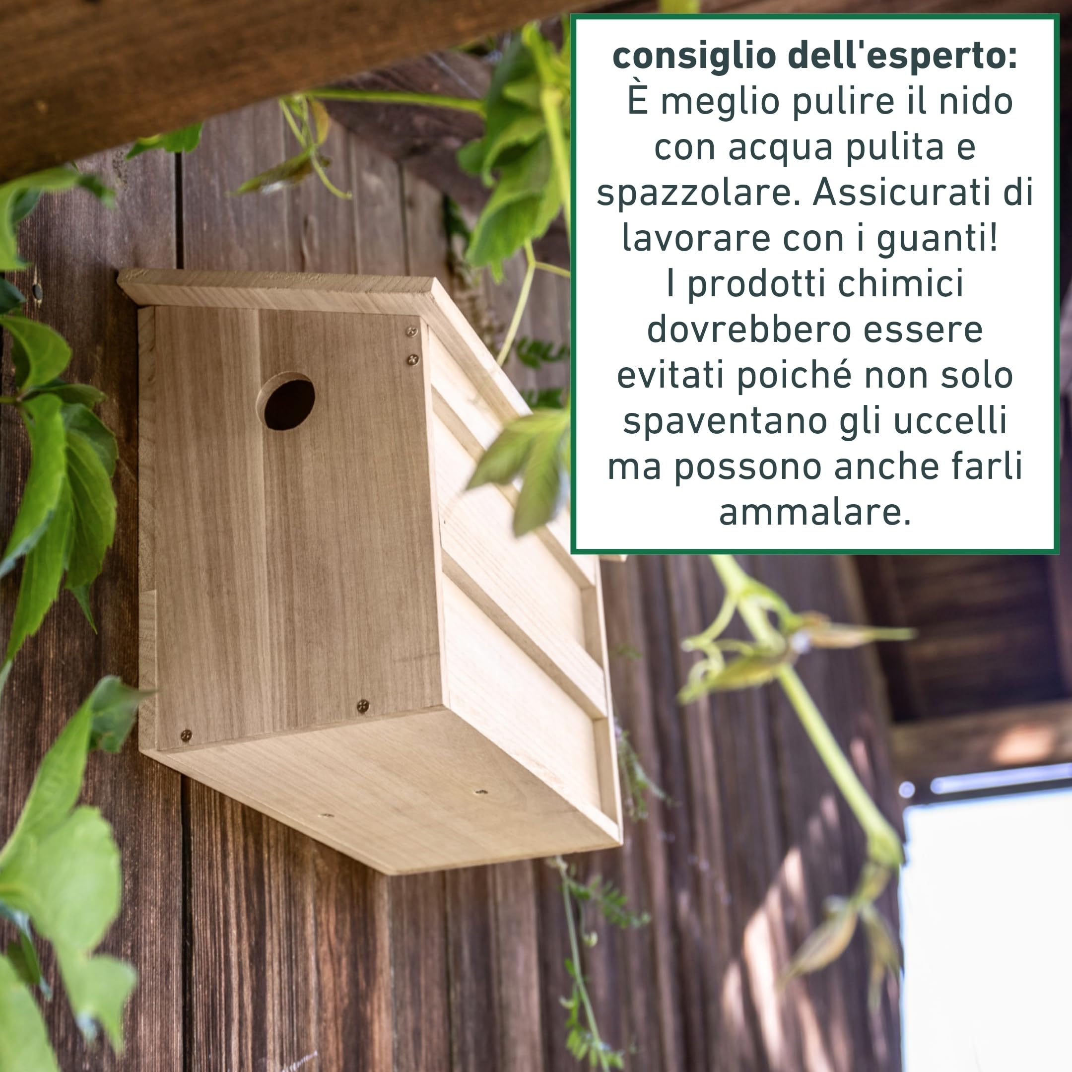 Windhager Twinhouse 07466 - Casetta per uccelli con due camere separate, per uccelli e allevamenti, 18 x 38 x 26 cm, colore naturale