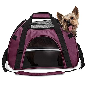 Furhaven Pet Small Pet Tote with Weather Guard, Raspberry