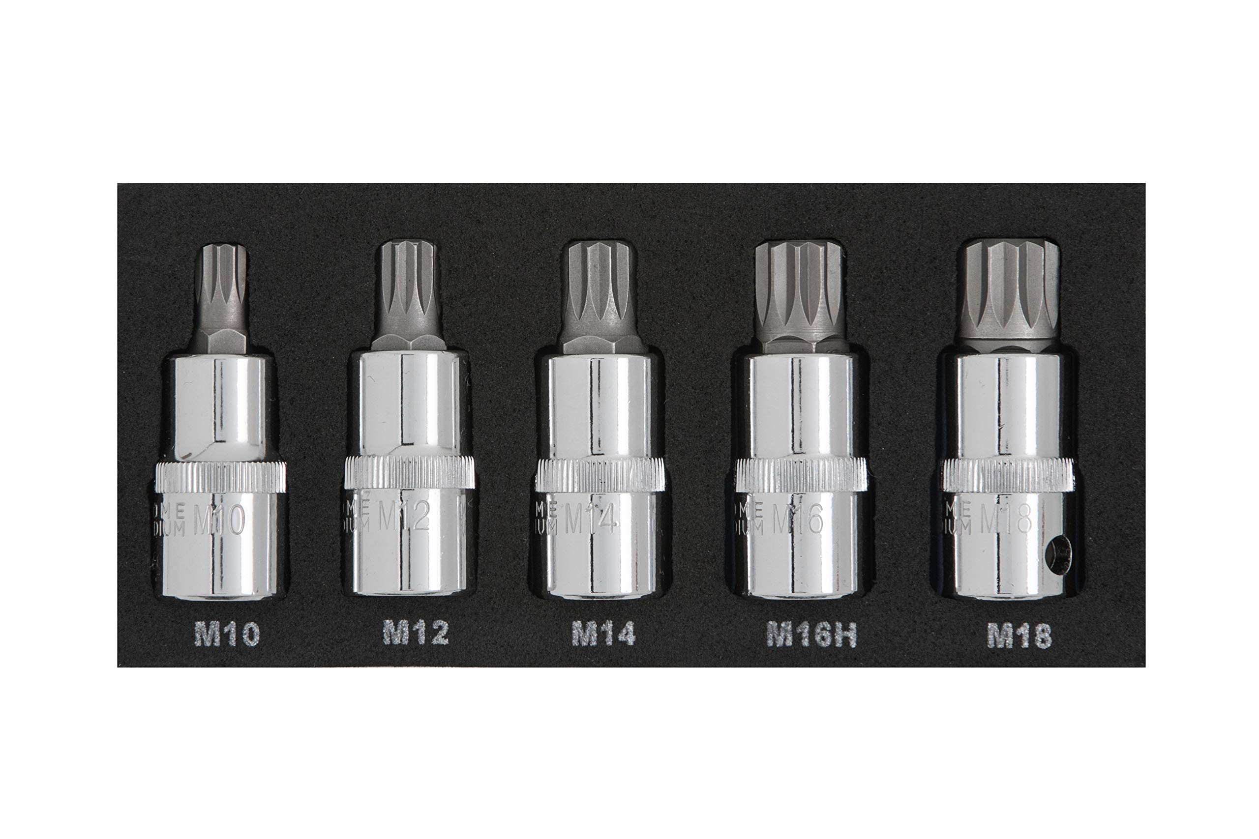 BlueSpot 5PCE 1/2" Spline Bit Set (M10-M18) (EVA Foam)