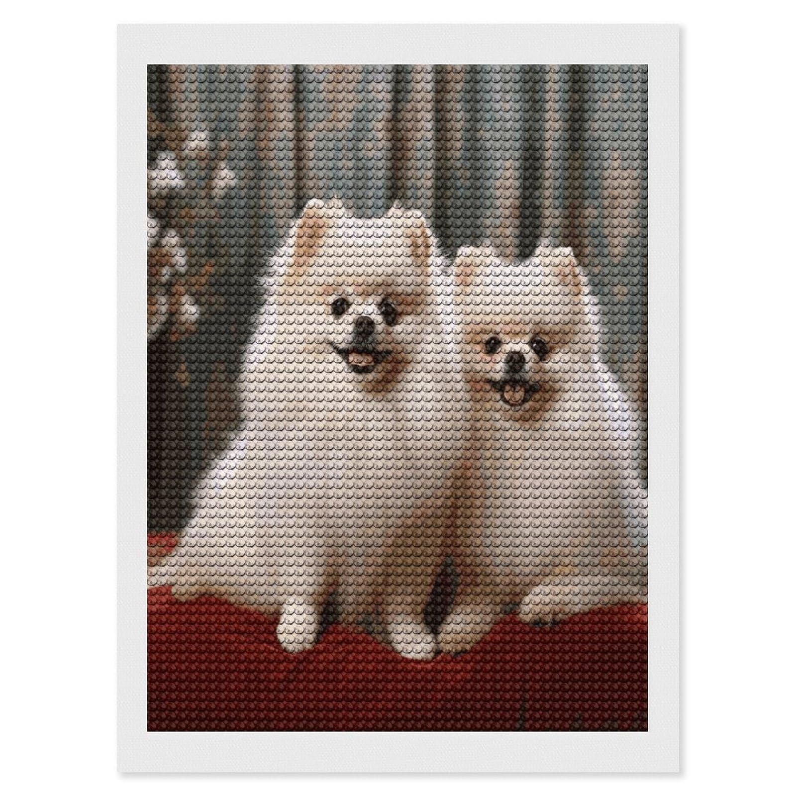 VstaDank Short-haired Pomeranian Dog Diamond Painting Kits Exquisite DIY Full Round Drill Diamond Dots Painting for Adults Beginner Diamond Photo Paint with Diamond Picture Art Wall Decor 12"x16"