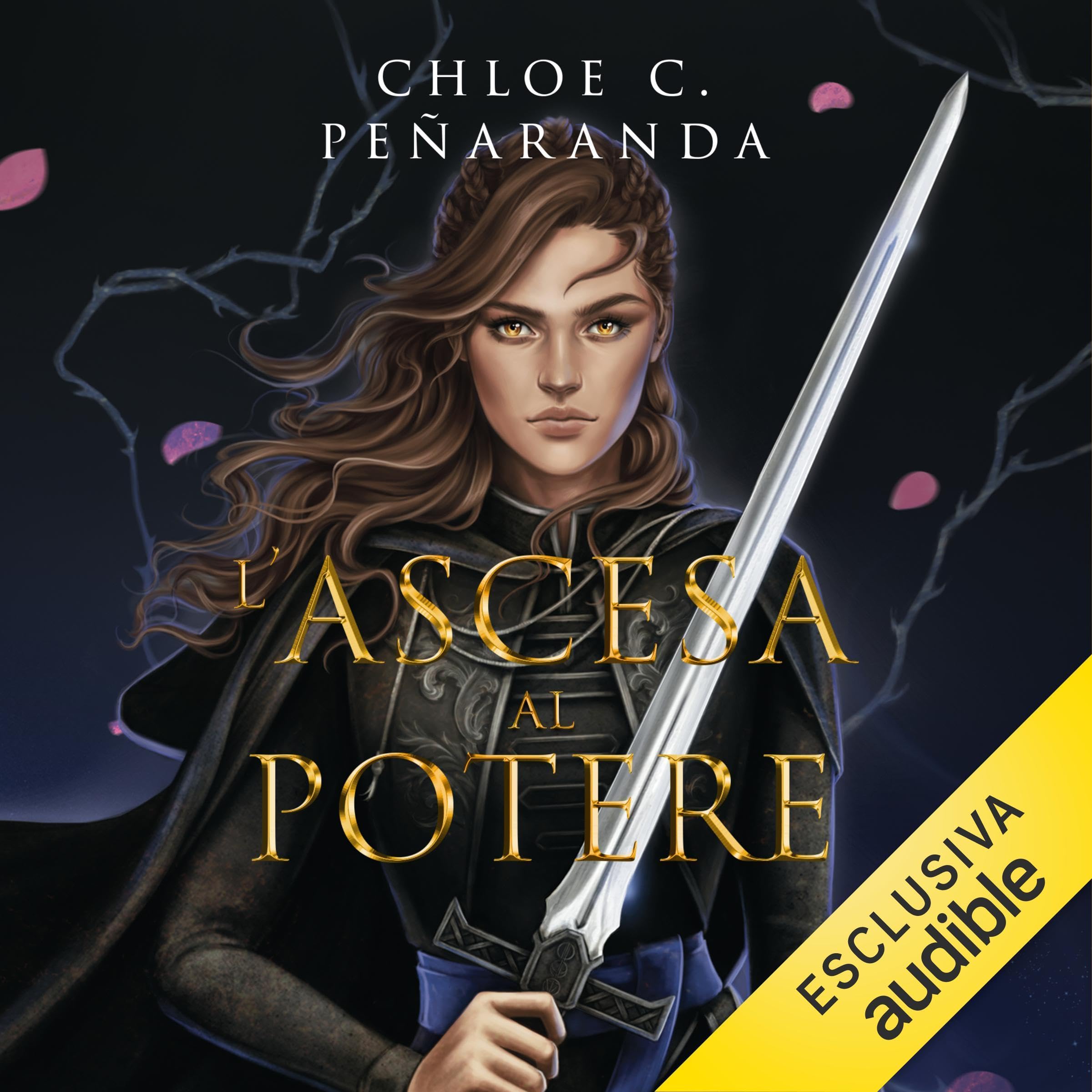 Cover art for L'ascesa al potere