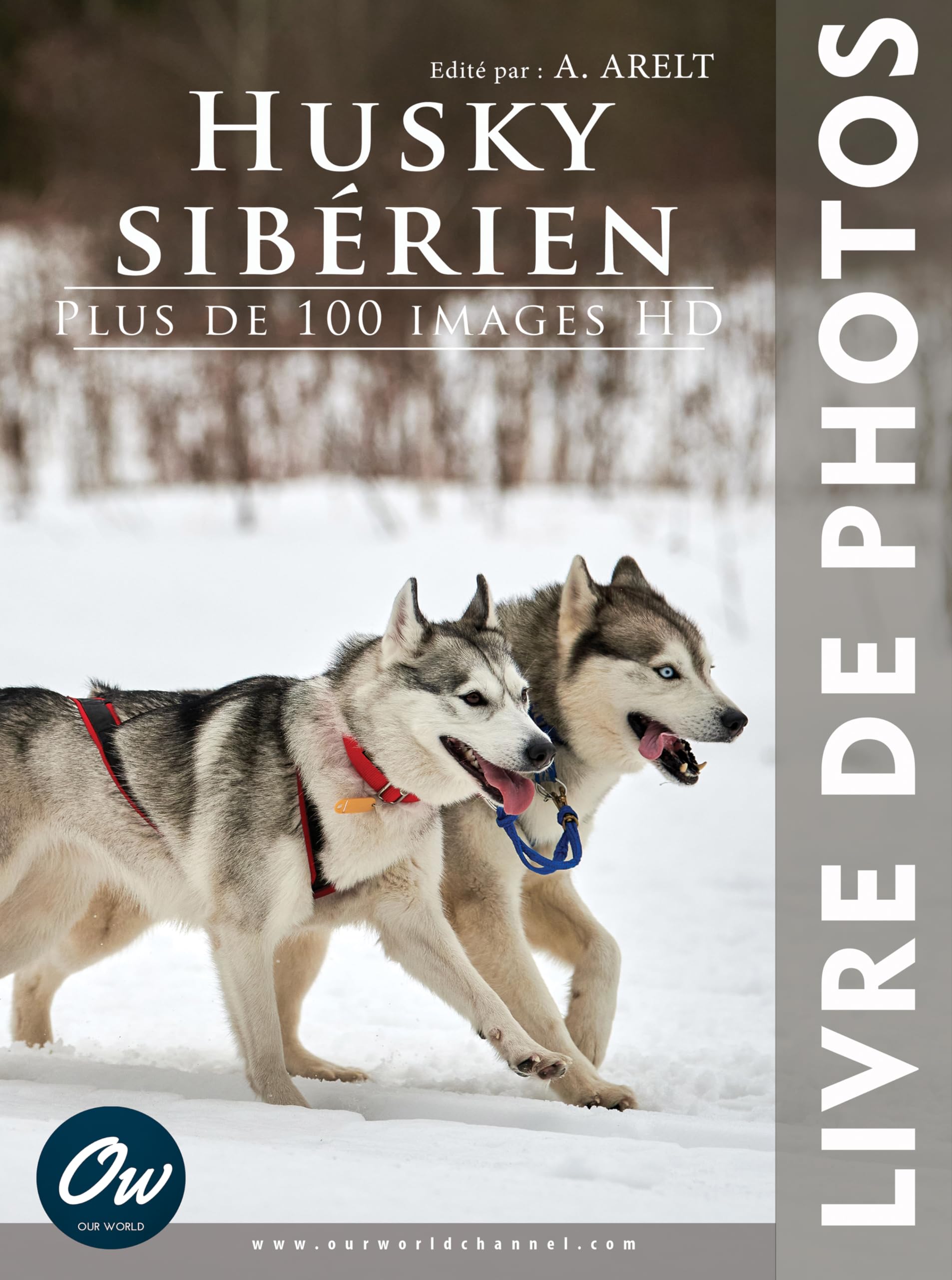 Husky Sibérien Livre de Photos Album Images HD Chien Nordique et Grands Espaces Naturels