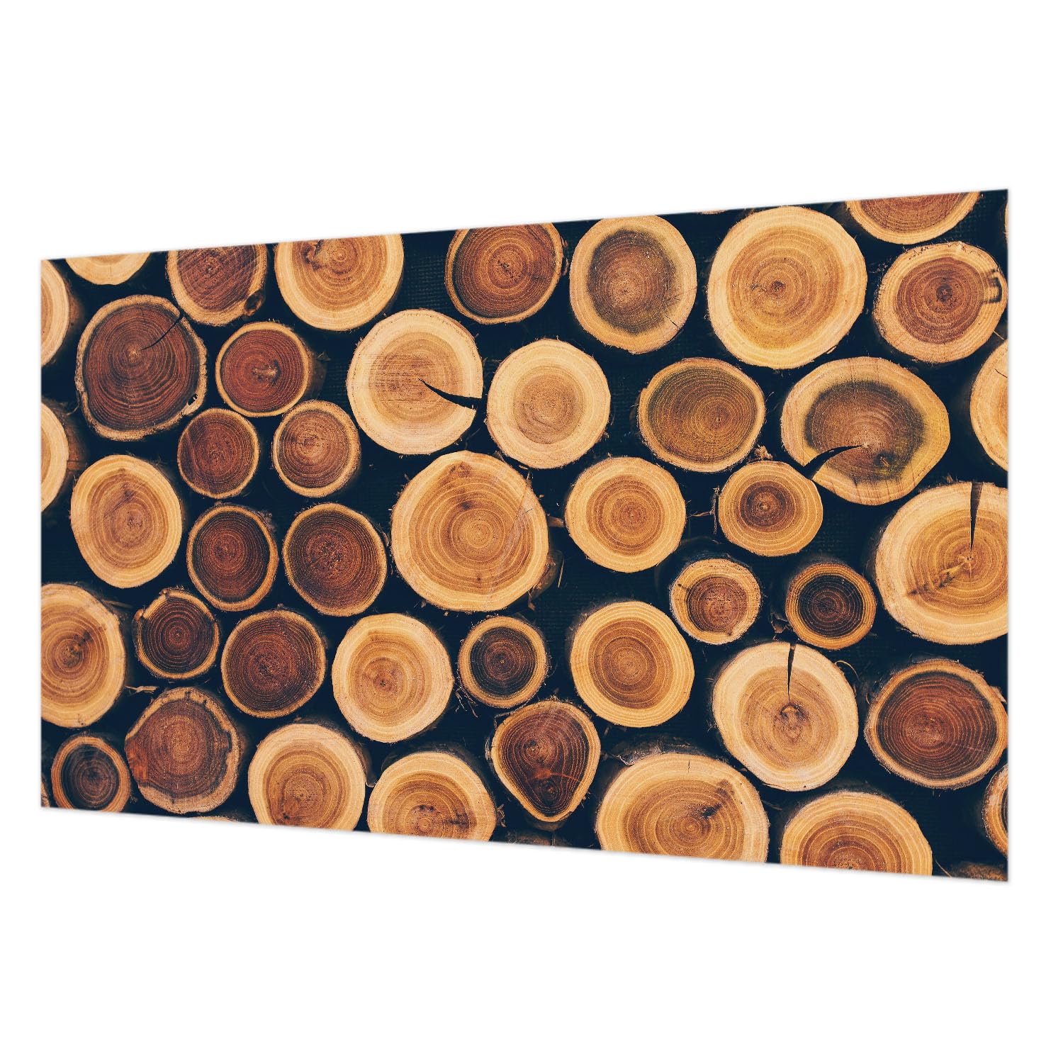 Papier peint haut de gamme 416x254 cm aspect cercles en bois