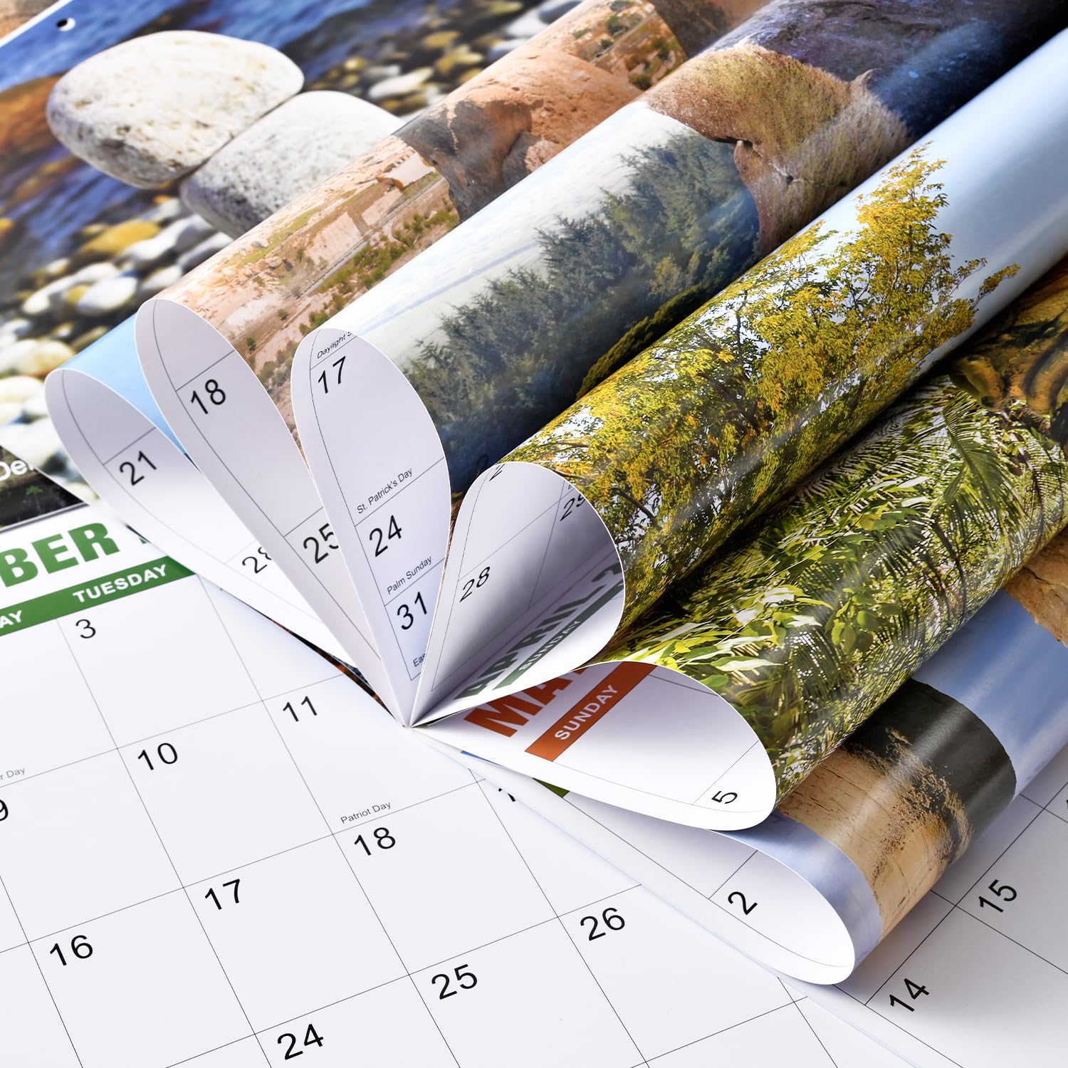 Gag Gifts - Lustiger Wandkalender 2025, Kalender 2025 mit dickem Papier, Januar 2025 - Dez. 2025, 61 x 30,5 cm (offen), am besten für weiße Elefanten-Gag-Geschenke - Nature's Di*ks