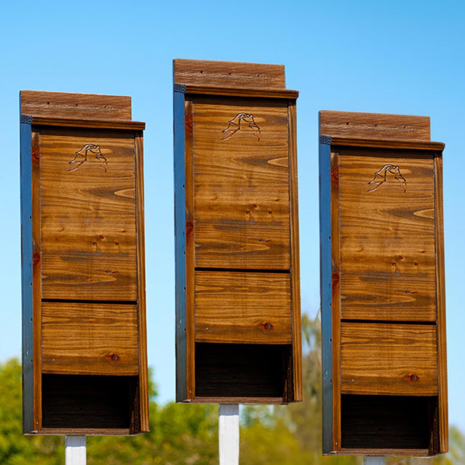 BestNest Premium Stained Bat Houses 3 Pack – Brown Dual Chamber Bat Boxes for Outdoors – Holds Up to 65 Bats Each – Grooved Wood Interior, Ventilated, Vertical Mount Bat House