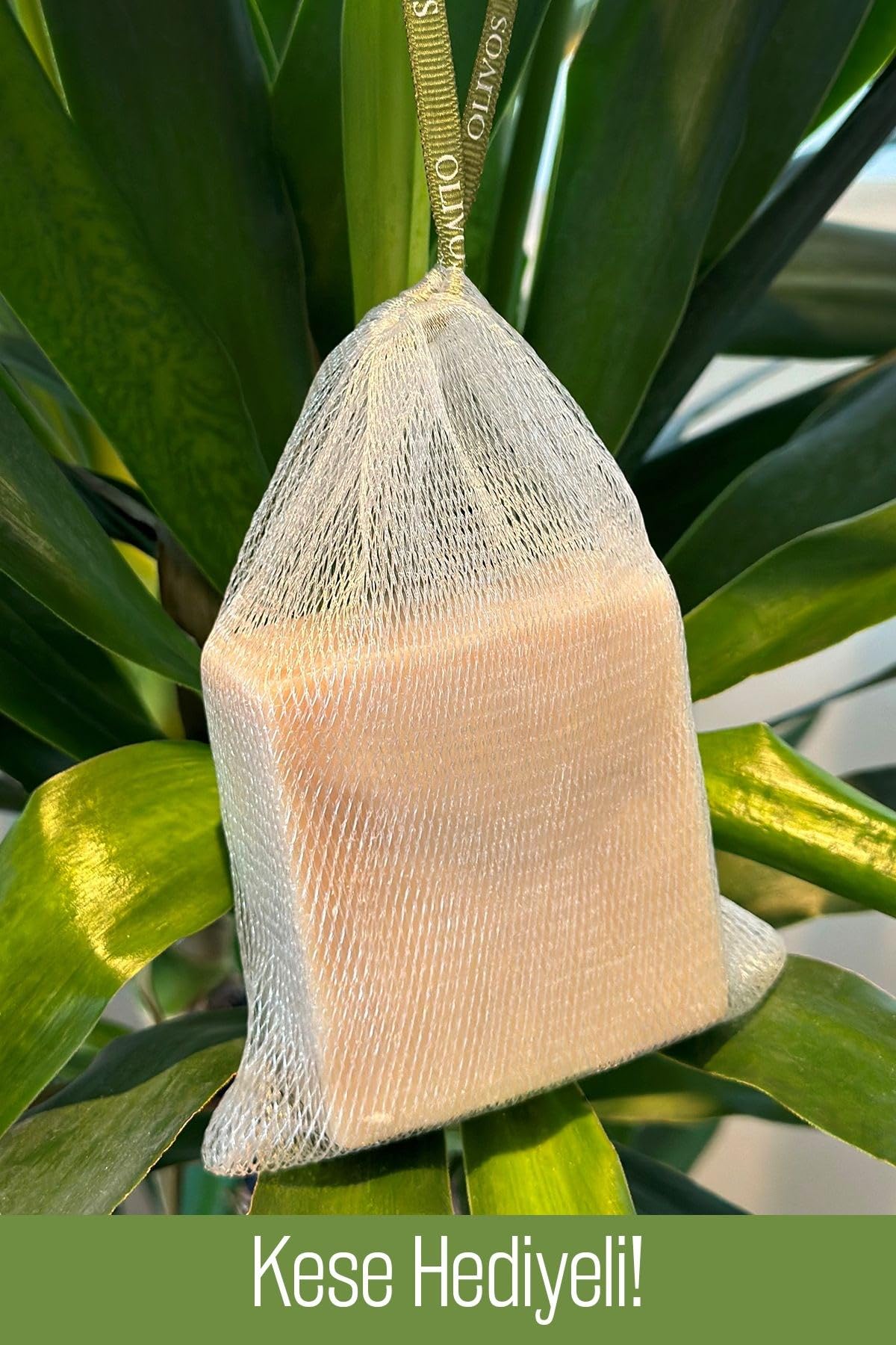 OLIVOS Doğal Keçi Sütü Ve Zeytinyağlı Katı Sabun, Keçi Sütlü El Sabunu, Kese Hediyeli 150 Gr (Keseli) (Keçi Sütlü)