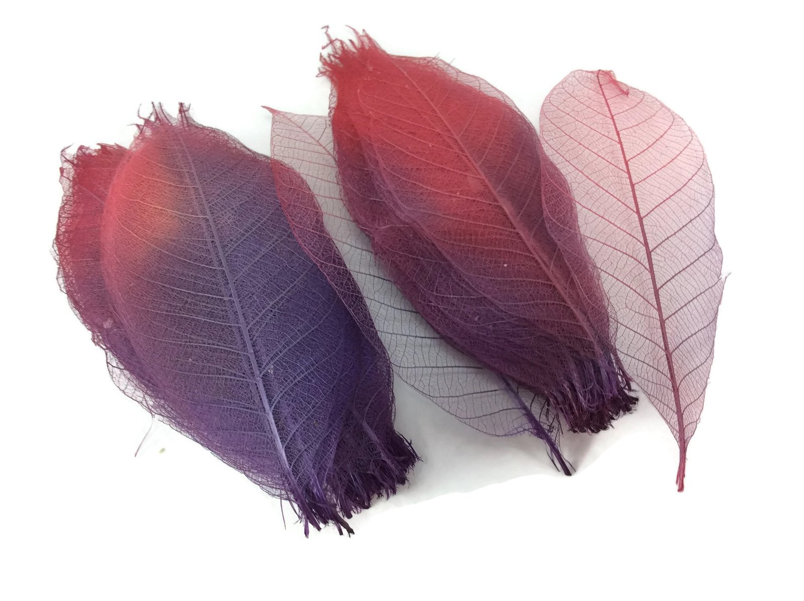 Red Purple Skeleton Small Leaves 3 Inch Natural Color Flower Making Natural Rubber Leaves
