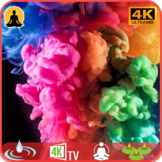 Nature's Tranquil Calming Northern Lights and Aurora Borealis : Forest Relaxation & Serenity For Tablets And TV No Ads