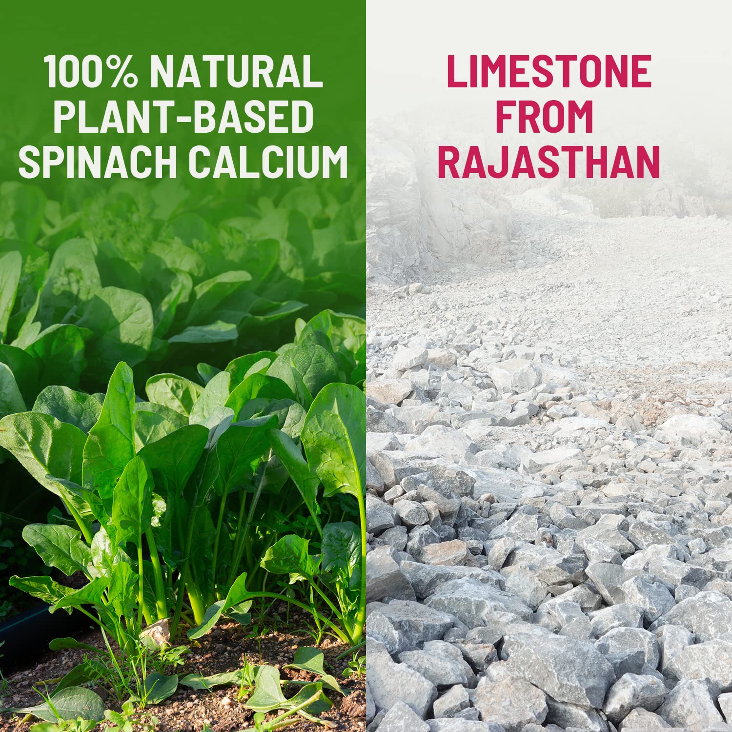 Spinach And Calcium Supplements at Janice Leath blog