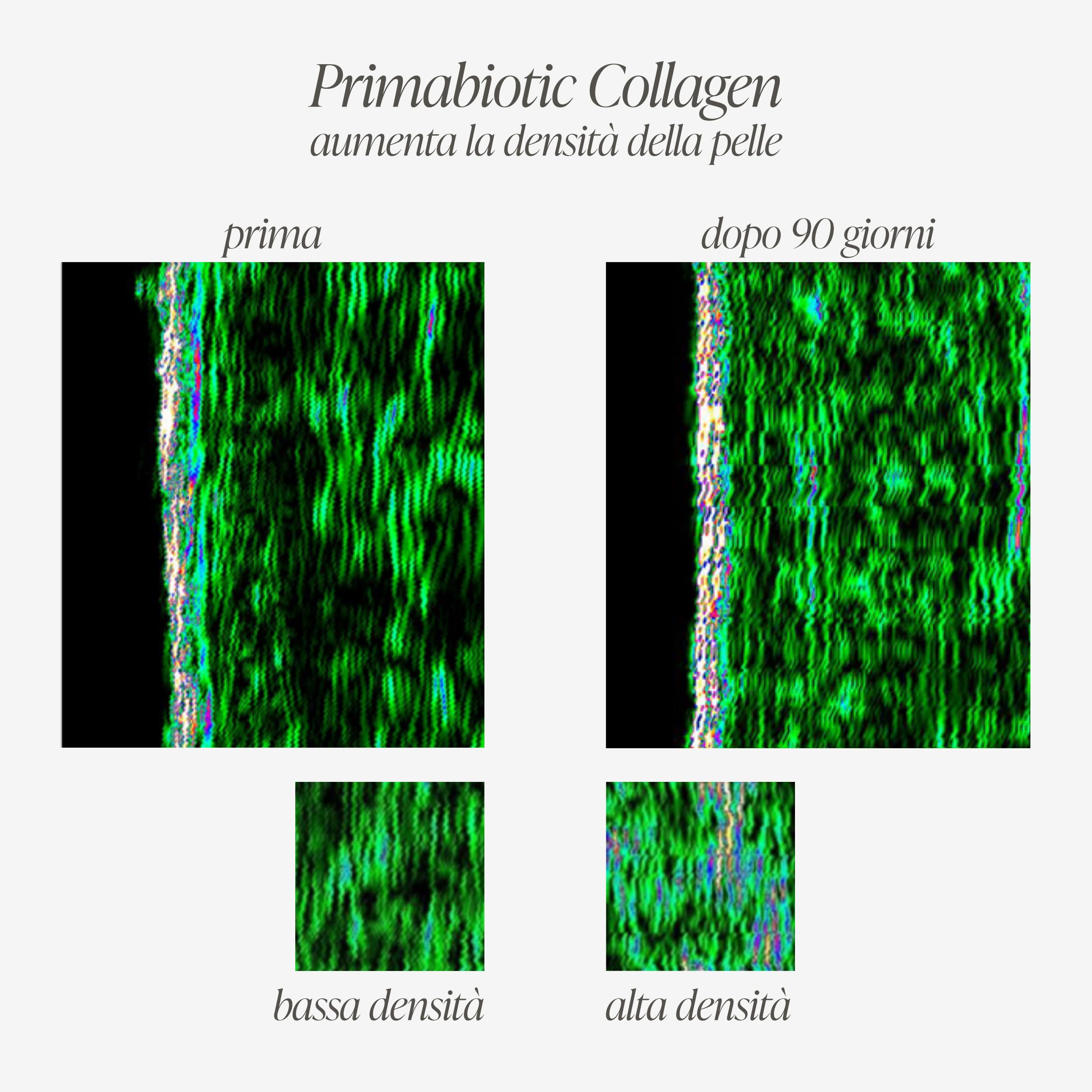 Collagene + Acido Ialuronico da Bere – Primabiotic Duo Pack | 60 Flaconcini da 30 ml | Collagen 10000 mg + Hyaluron 250 mg | Integratori Liquidi per Pelle Idratata e Luminosa