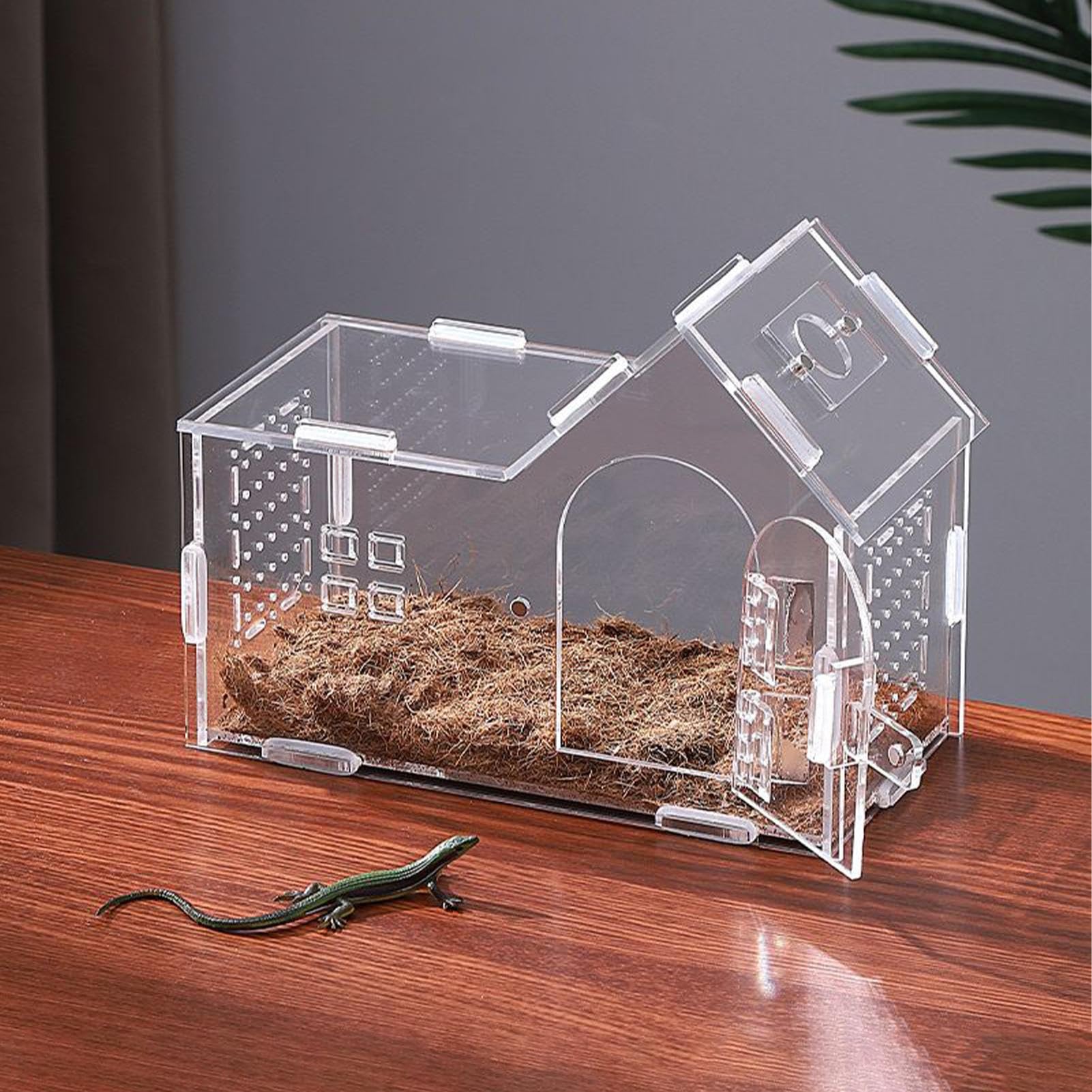 Recinto Spider - Terrario Acrílico con Puerta Magnética Y Ventilación | Casa de araña saltarina para Geckos, Ranas, lagartos, tarántulas y Mascotas arbóreas