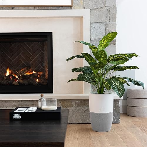 Miniatura 8 de Dupray Bloom Purificador de aire para habitaciones grandes con maceta o diseño de mesa decorativa personalizada  Para el hogar, dormitorio, oficina,