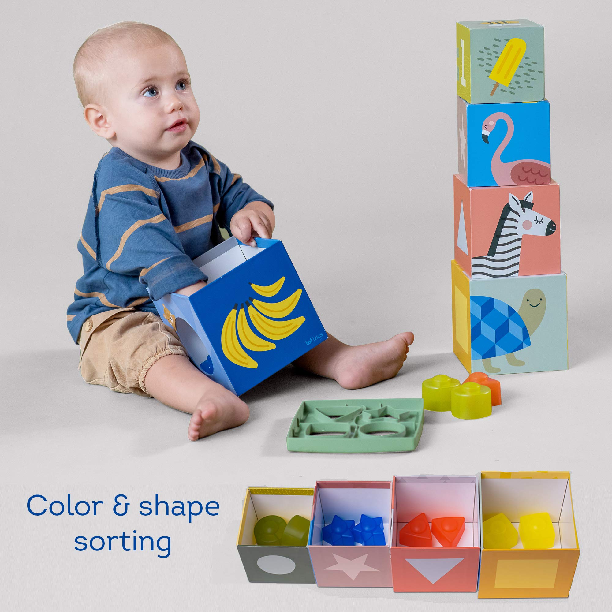 Taf Toys 12725 - Scatola delle Forme Savana