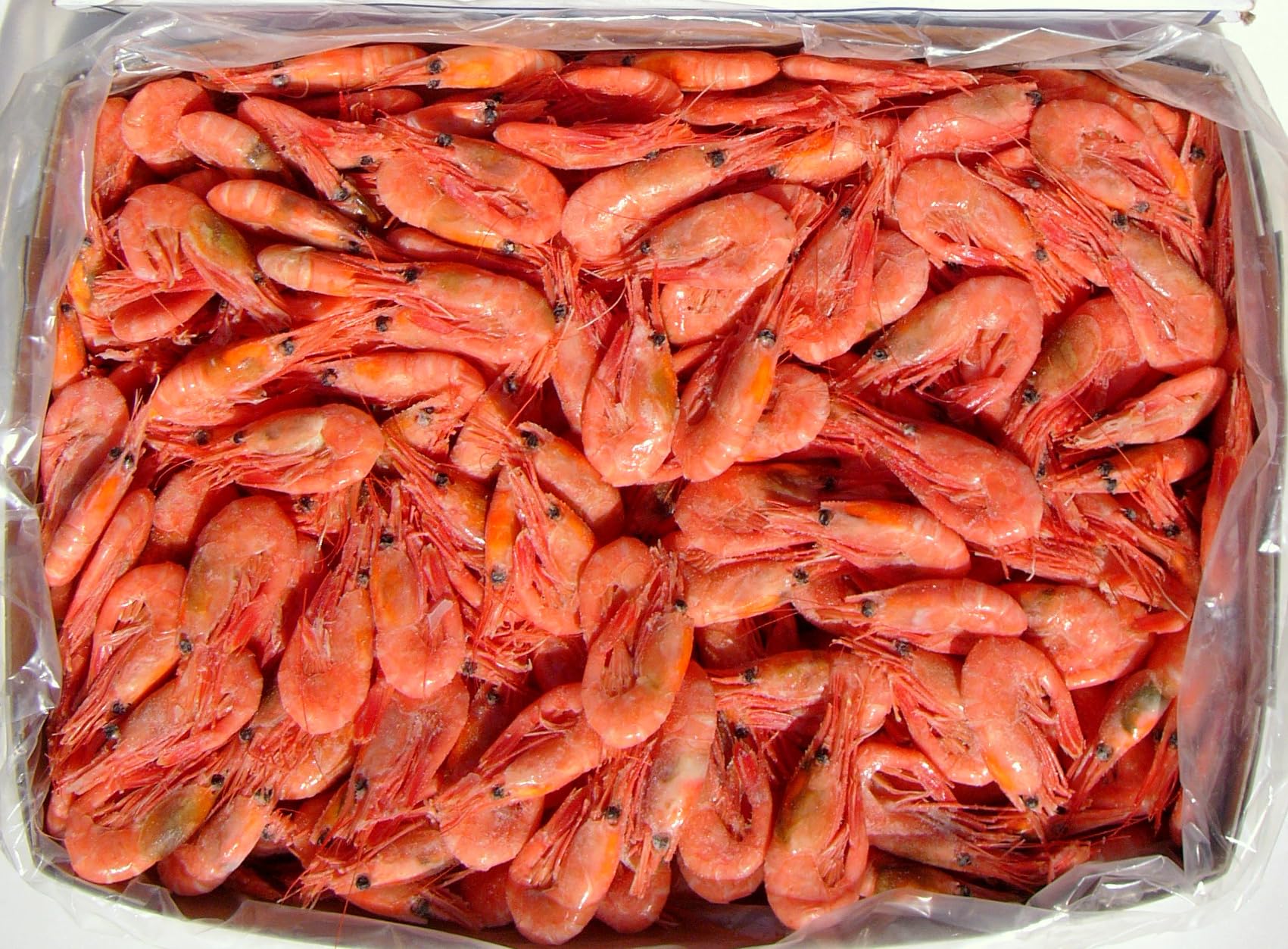 カナダ産冷凍甘エビ5kg ボイル甘エビ 5kg 冷凍 あまえび アマエビ 甘海老 甘えび 赤エビ 赤