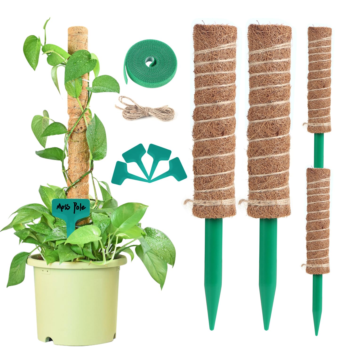 Moss Pole, 2 Pack Moss Pole for Plants Monstera with 65ft Twist Ties, 30 Inch Plant Stakes for Indoor, Moss Poles for Climbing Plants, Handmade Coco Coir Pole Plant Support for Creeper Plants Grow Upw
