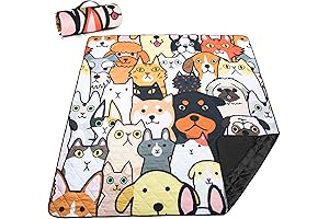 Airensky Extra Large Picnic Blanket for Outdoor Adventures