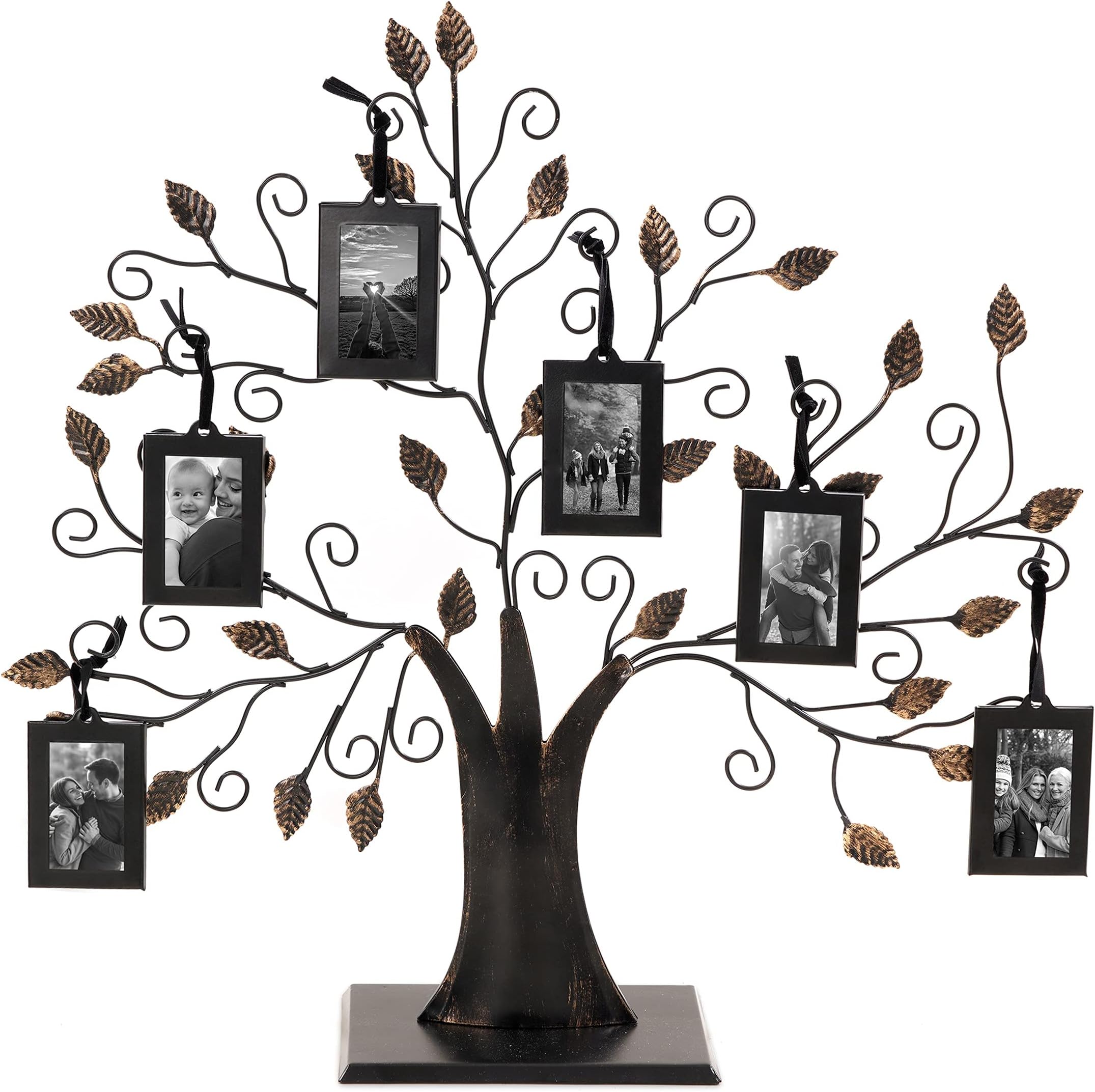 Thetford Design Family Tree Photo Frame with 12 Hanging Picture Frames Amazon.co.uk Home
